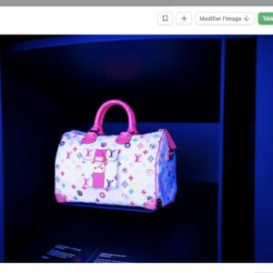 Louis Vuitton Speedy 30 Monogram