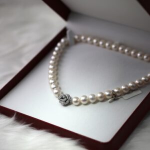 Accessoires