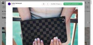 Louis Vuitton Pochette Accessoires Monogram