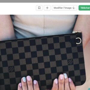 Louis Vuitton Pochette Accessoires Monogram