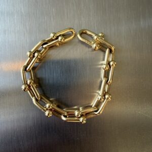 Tiffany HardWear Link Bracelet