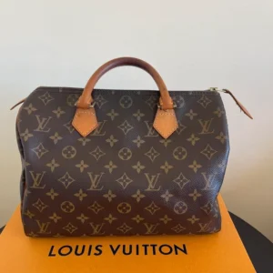LV Speedy 25 Damier Ebene